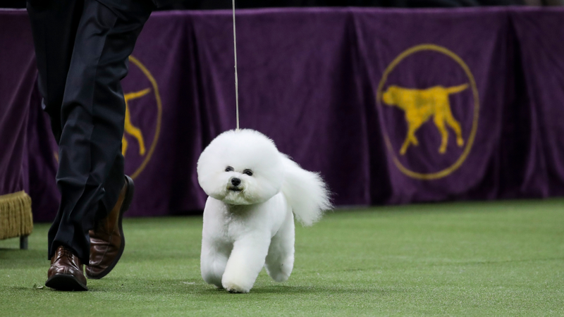 Image: Getty